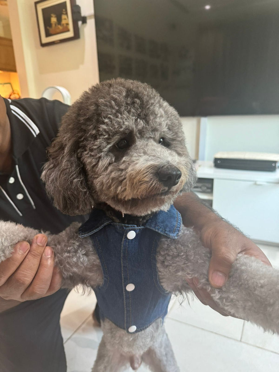 Fur-Ever Cool Dog Denim Jacket