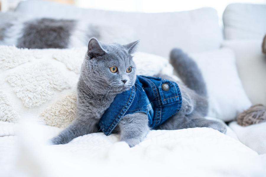 Pawfect Match-Cat Denim Jacket